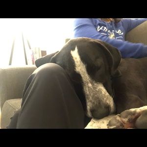 Meet your Posher, Emily